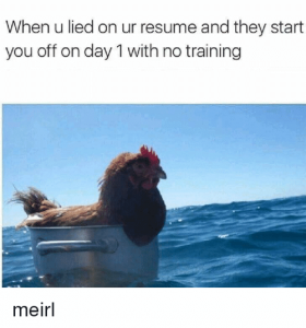 When you lied on your resume memes