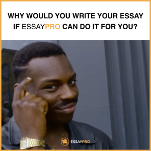 Essay Writing help